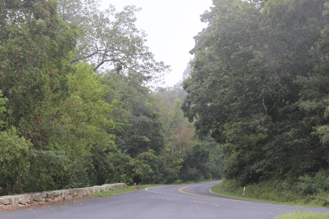 Skyline Drive empty road