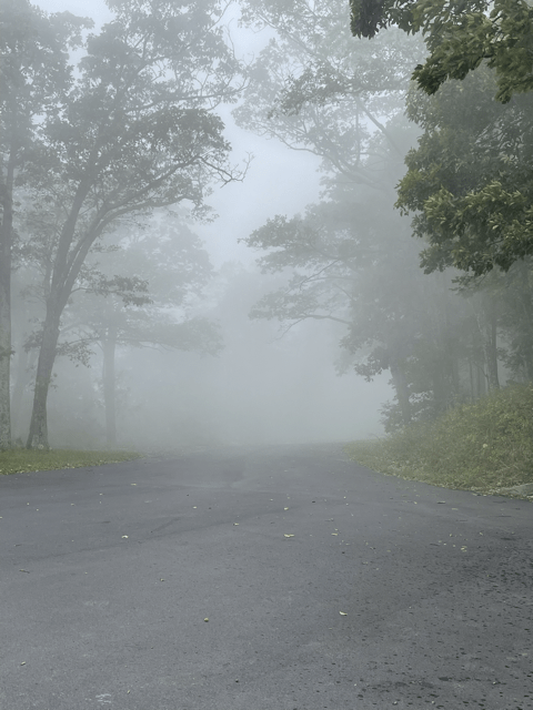 Foggy Skyline Drive Roads